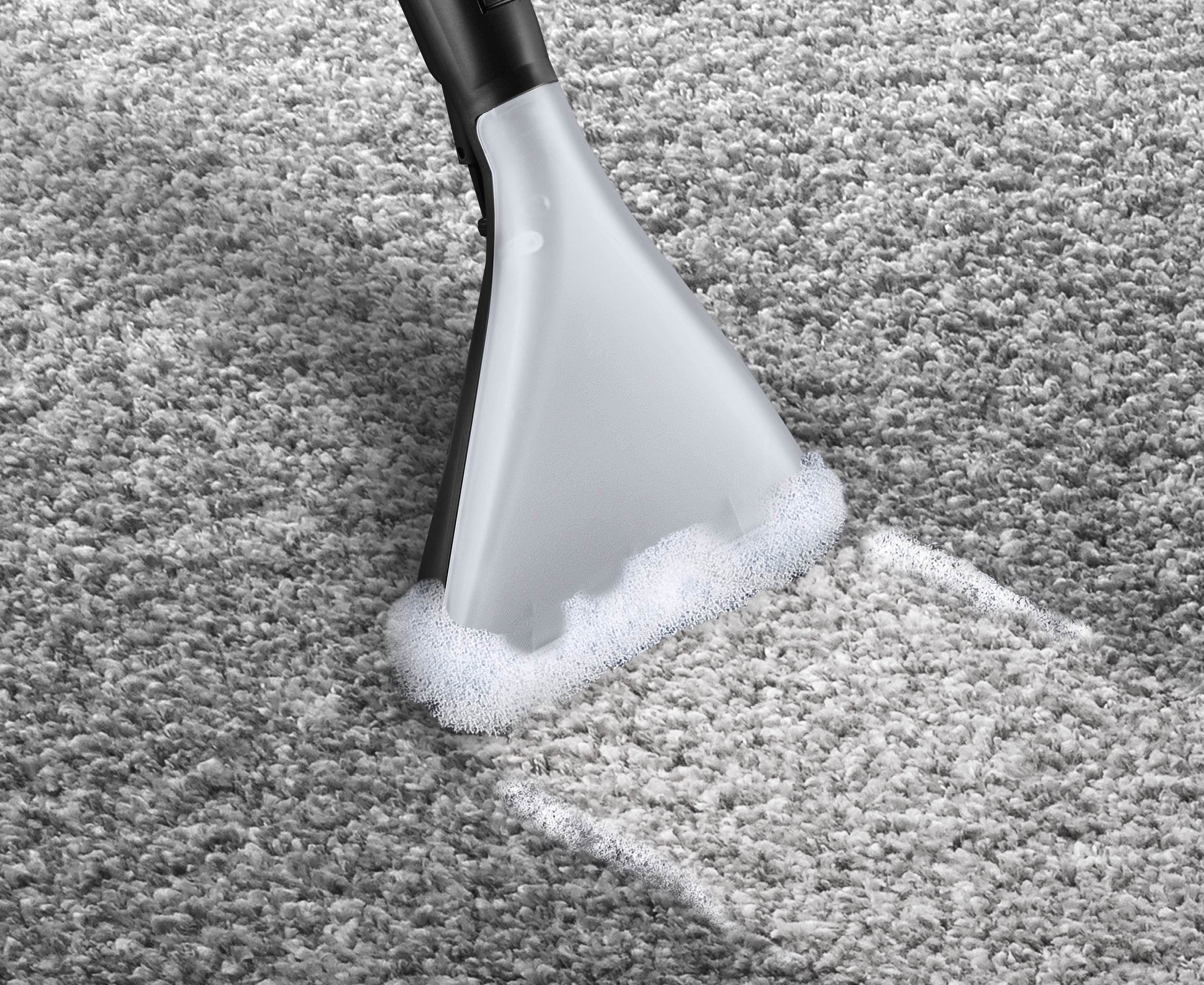 Antialegrijski Usisivač za mokro i suvo usisavanje ProHygienic Serie 4 BWD420HYG