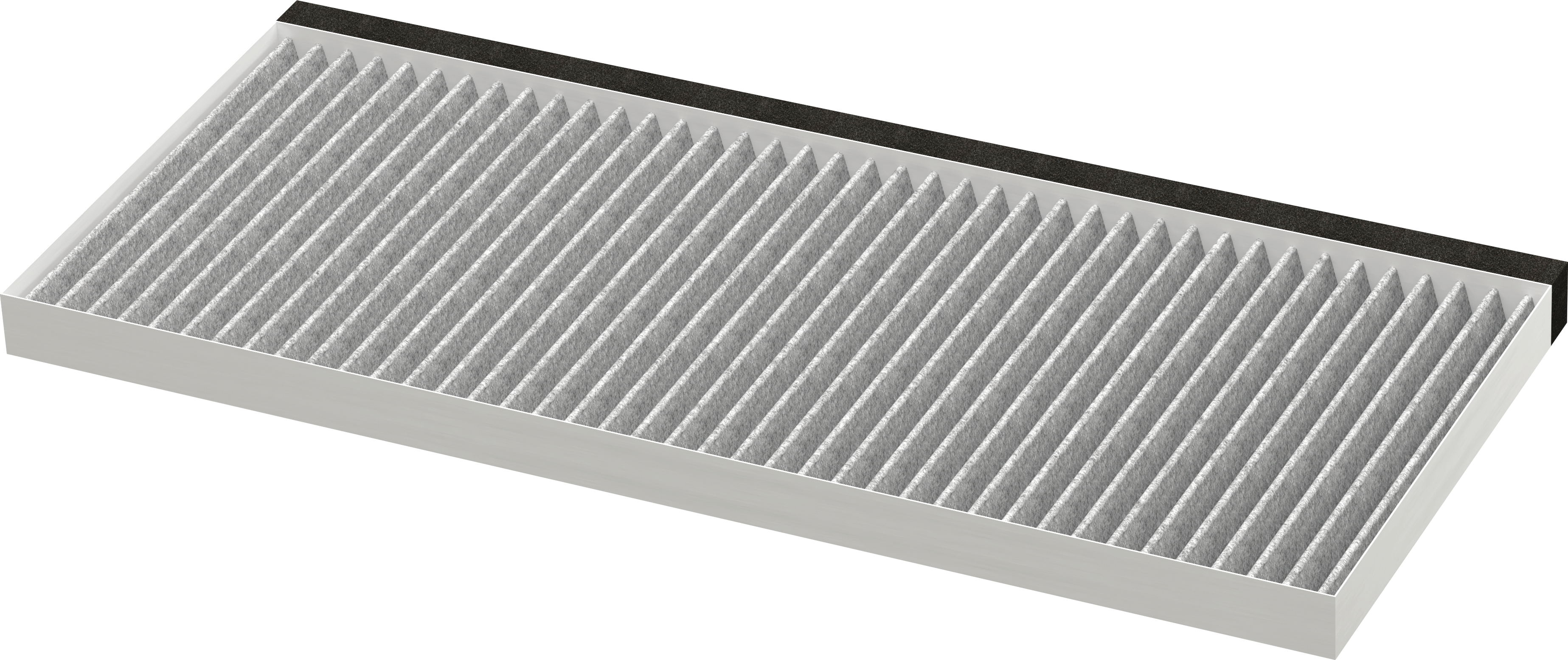 Filter za neprijatne mirise Clean Air Standard DWZ1IT1B4