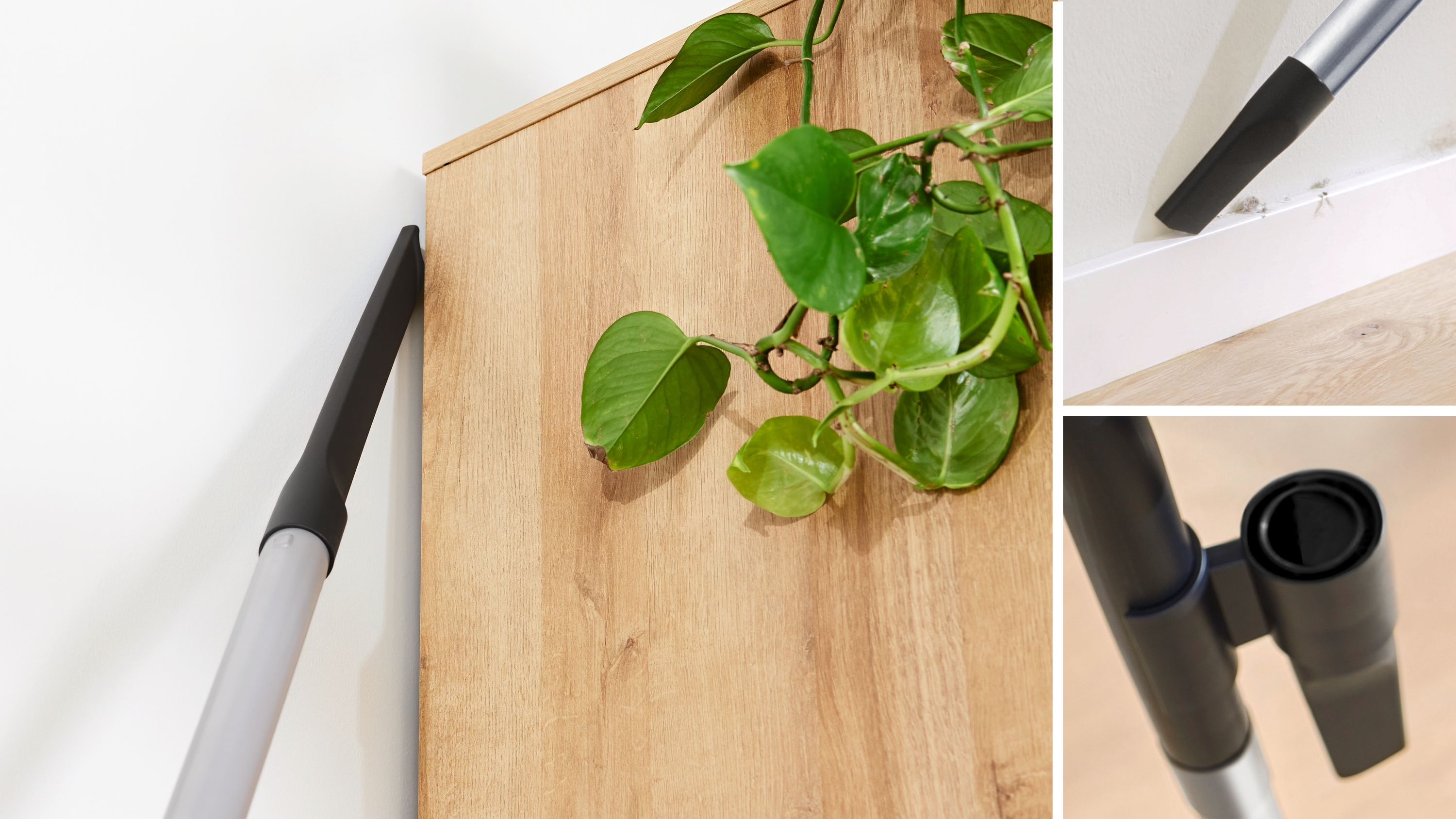 Usisivač s kesom za dlake ProAnimal Serija 8 BGB8PET3A